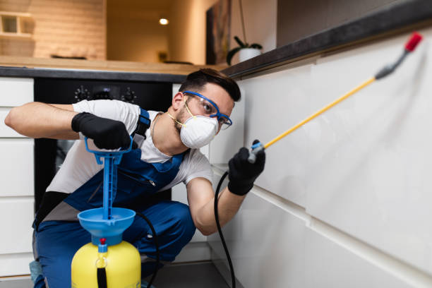 Best Best Pest Control Companies  in Squirrel Mountain Valley, CA