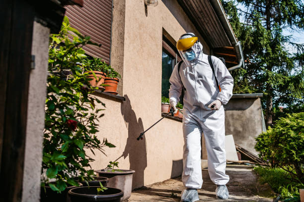Best Rodent Control Near Me  in Squirrel Mountain Valley, CA