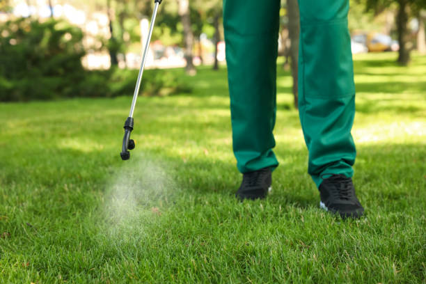 Best Exterminator Services  in Squirrel Mountain Valley, CA