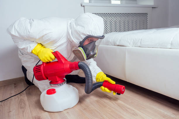 Professional Pest Control in Squirrel Mountain Valley, CA