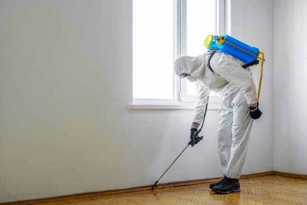 Best Cockroach Control Services  in Squirrel Mountain Valley, CA