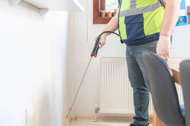 Best Best Pest Control Companies  in Squirrel Mountain Valley, CA
