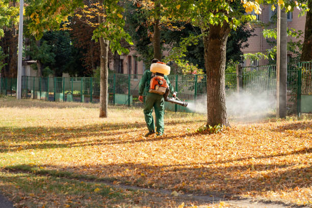 Best Pest Control Near Me  in Squirrel Mountain Valley, CA