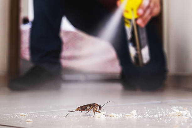 Best Wildlife Control Services  in Squirrel Mountain Valley, CA