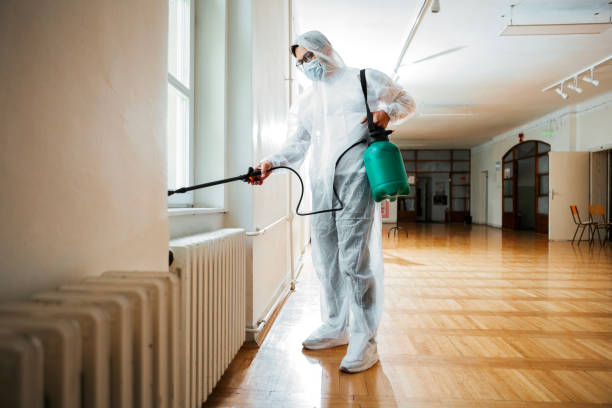 Best Insect Control  in Squirrel Mountain Valley, CA