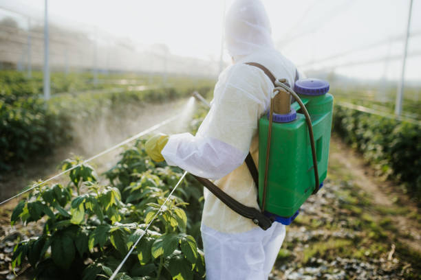  Squirrel Mountain Valley, CA Pest Control Pros